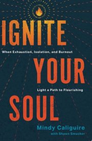 Ignite Your Soul When Exhaustion, Isolation, and Burnout Light a Path to Flourishing cover image