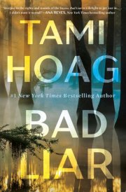 Bad Liar A Novel cover image