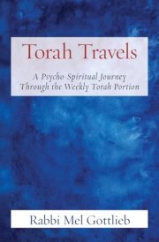 Torah Travels A Psycho-Spiritual Journey Through the Weekly Torah Portion cover image