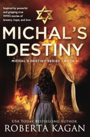 Michal's Destiny cover image