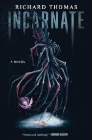 Incarnate A Novel cover image