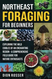 Northeast Foraging for Beginners: Exploring the Wild Edibles of an Enchanting Region – A Comprehensive Field Guide for Nature Enthusiasts cover image