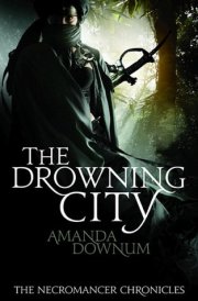 The Drowning City cover image