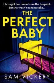 The Perfect Baby A Dark and Gripping Page-Turner Full of Jaw-dropping Secrets cover image