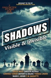 Shadows Visible & Invisible cover image