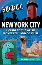 Secret New York City: A Guide to the Weird, Wonderful, and Obscure cover image
