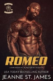 Romeo A Dark Knights MC/Blood Fury MC Crossover cover image