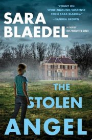 The Stolen Angel cover image