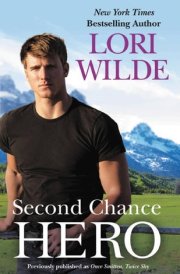 Second Chance Hero cover image