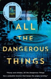 All the Dangerous Things A Novel cover image