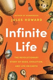 Infinite Life The Revolutionary Story of Eggs, Evolution, and Life on Earth cover image