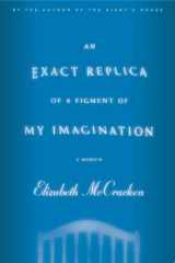 An Exact Replica of a Figment of My Imagination A Memoir cover image