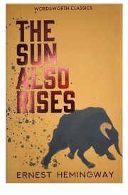 The Sun Also Rises cover image