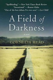 A Field of Darkness A Novel cover image