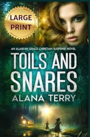 Toils and Snares cover image