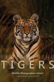 Remembering Tigers cover image