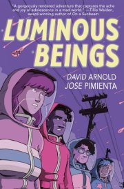 Luminous Beings: A Graphic Novel cover image