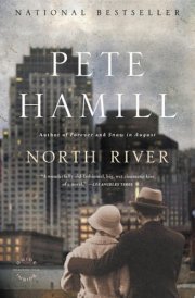 North River A Novel cover image