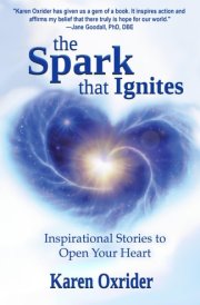 The Spark That Ignites: Inspirational Stories to Open Your Heart cover image
