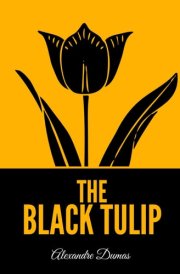The Black Tulip cover image