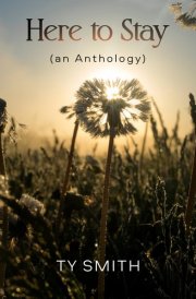 Here to Stay (an Anthology) cover image