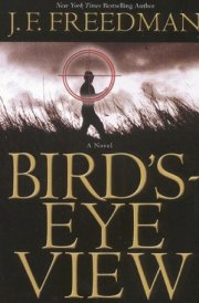 Bird's-Eye View A Novel cover image