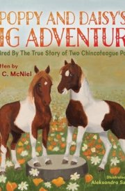 Poppy and Daisy's Big Adventure Inspired by the True Story of Two Chincoteague Ponies cover image