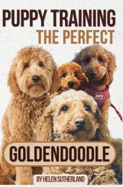 Puppy Training the Perfect Goldendoodle Take the Guesswork and Stress Out of Puppy Training! Learn About House, Crate, Leash & Recall Training, Separation Anxiety, Health and Breed History cover image