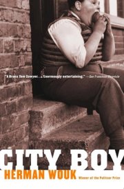 City Boy cover image