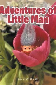 Adventures of Little Man cover image