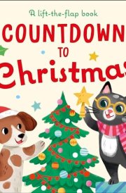 Countdown to Christmas A Lift-The-Flap Book cover image