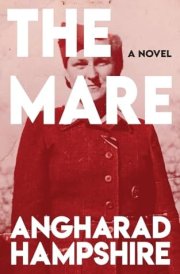 The Mare A Novel cover image