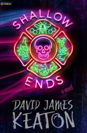 Shallow Ends A Novel cover image