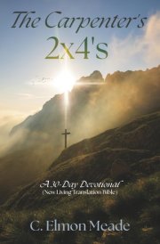 The Carpenter's 2x4's A 30-Day Devotional (New Living Translation Bible) cover image