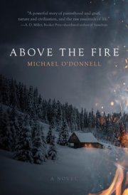 Above the Fire cover image
