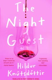 The Night Guest cover image