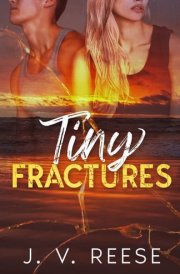 Tiny Fractures cover image