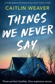 Things We Never Say An Unforgettable, Emotional Story of Secrets and Lies cover image