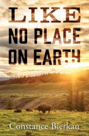Like No Place on Earth cover image