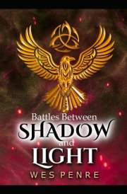 Battles Between Shadow and Light (The Cosmic Library Series) cover image