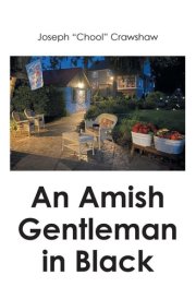 An Amish Gentleman in Black cover image