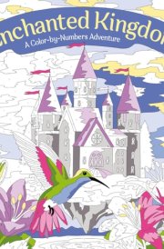 Enchanted Kingdom: A Color-By-Numbers Adventure Includes 45 Artworks to Color cover image