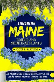FORAGING MAINE EDIBLE AND MEDICINAL PLANTS: An Ultimate Guide to Easily Identify, Harvest, and Use the Natural Bounty of The Pine Tree State cover image