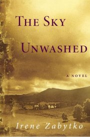 The Sky Unwashed A Novel cover image