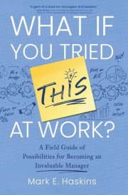 What If You Tried This At Work A Field Guide of Possibilities for Becoming an Invaluable Manager cover image