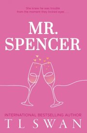 Mr. Spencer cover image