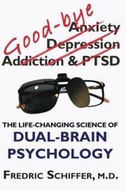 Good-bye Anxiety, Depression, Addiction & PTSD The Life-Changing Science of Dual-Brain Psychology cover image