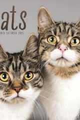 2025 Cats Wall calendar cover image