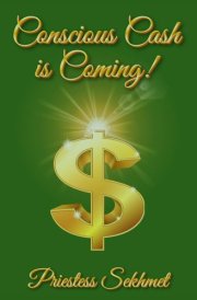 Conscious Cash Is Coming The New Conscious Enhanced Financial System cover image