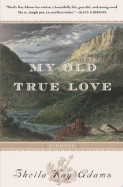 My Old True Love A Novel cover image